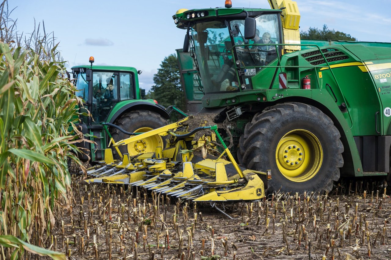 Bild 166 - Maisernte